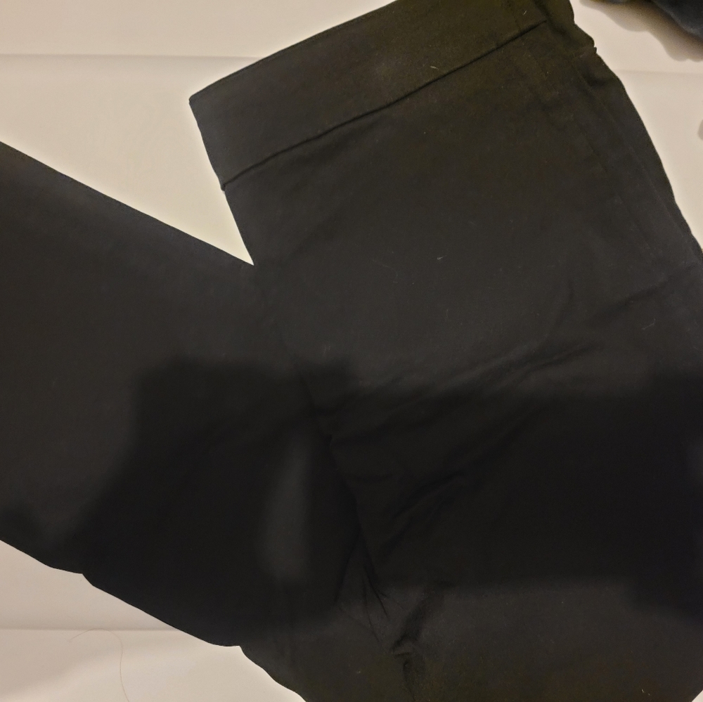 Dress pants